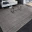 Striped Area Rug in Brown