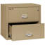 Fireproof 2 - Drawer File Cabinet-331546-217205