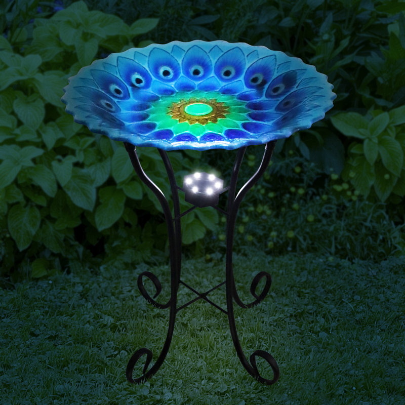 Bain d'oiseaux solaire Terren