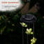 Carillon Altgeld Solar Bee