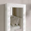 Beedeville Wall Jewelry Armoire-1789628328
