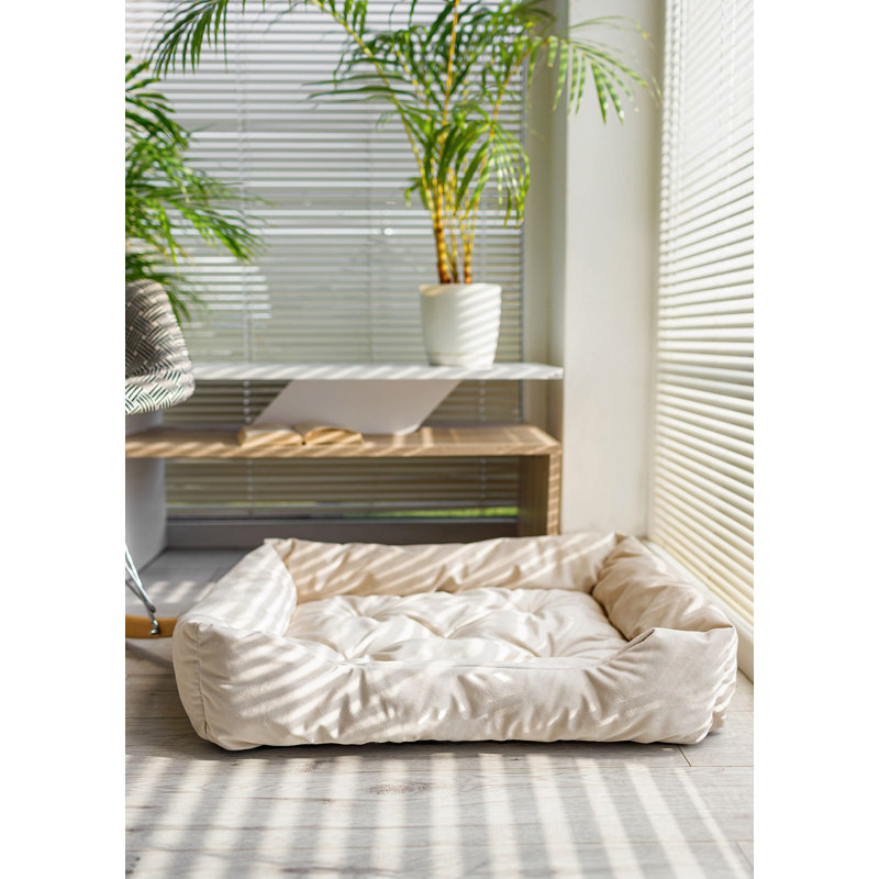 Terrill Velour Pet Bed, Beige