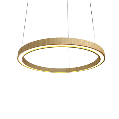 1 - Light Chandelier