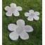 Flower Power Stepping Stone-24479624