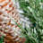 Faux Berry Rattan 24 " Wreath