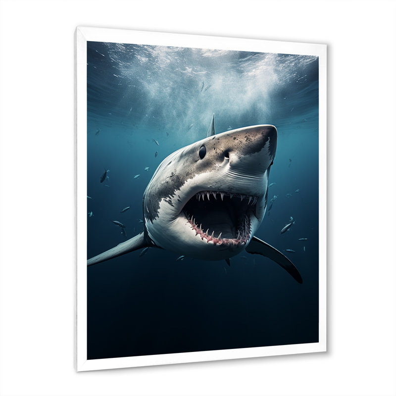 Requin bleu apex photo sur toile, Cadre simple blanc, H 44 po x l 34 po x P 1,5 po