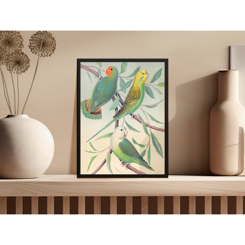 Print, 8x10