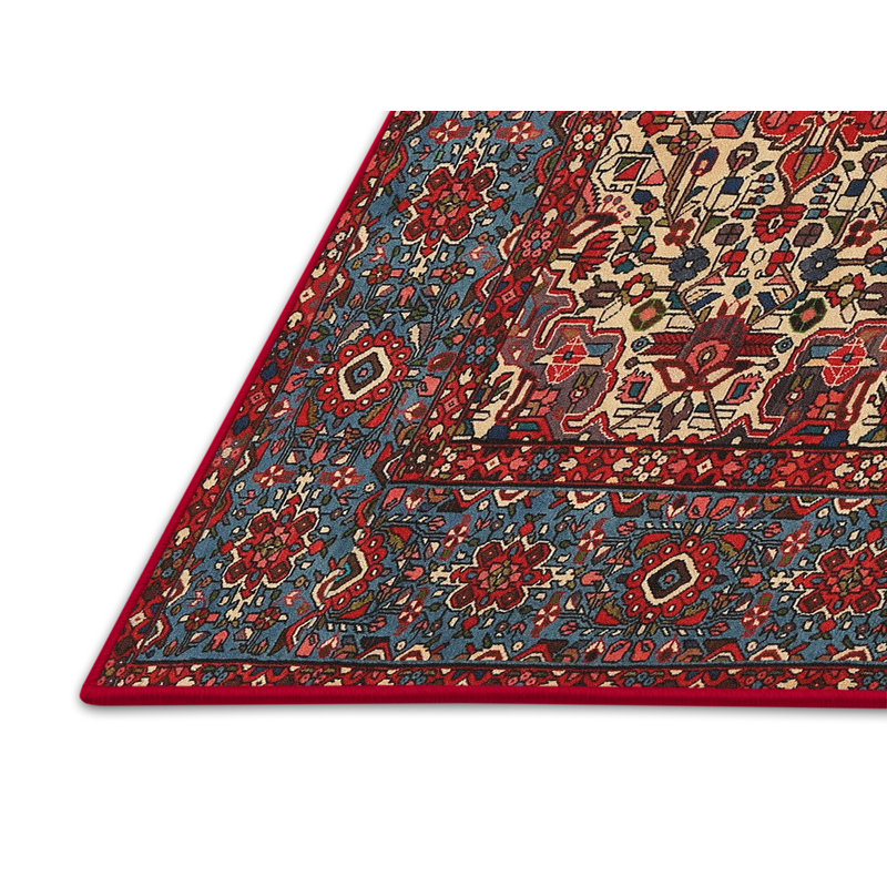 Oriental Indoor Rug, Rectangle 5' x 7'