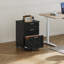 Solid Wood Filing Cabinet-1731483731