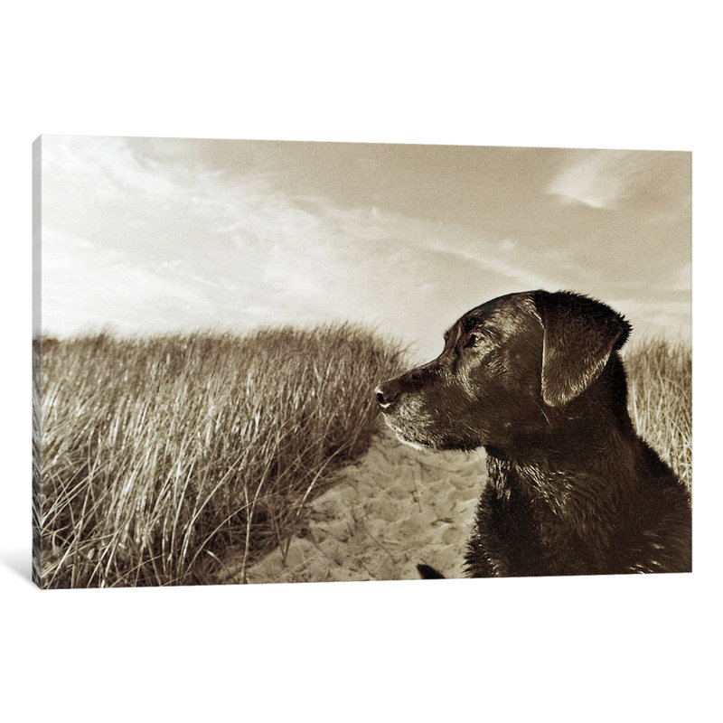 At the Beach, reproduction de photo sur toile tendue, H 12 po x l 18 po x P 1,5 po, Toile tendue, Pas de tapis