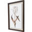 Gilded Tulip - Grace Print by Marrel Paragon