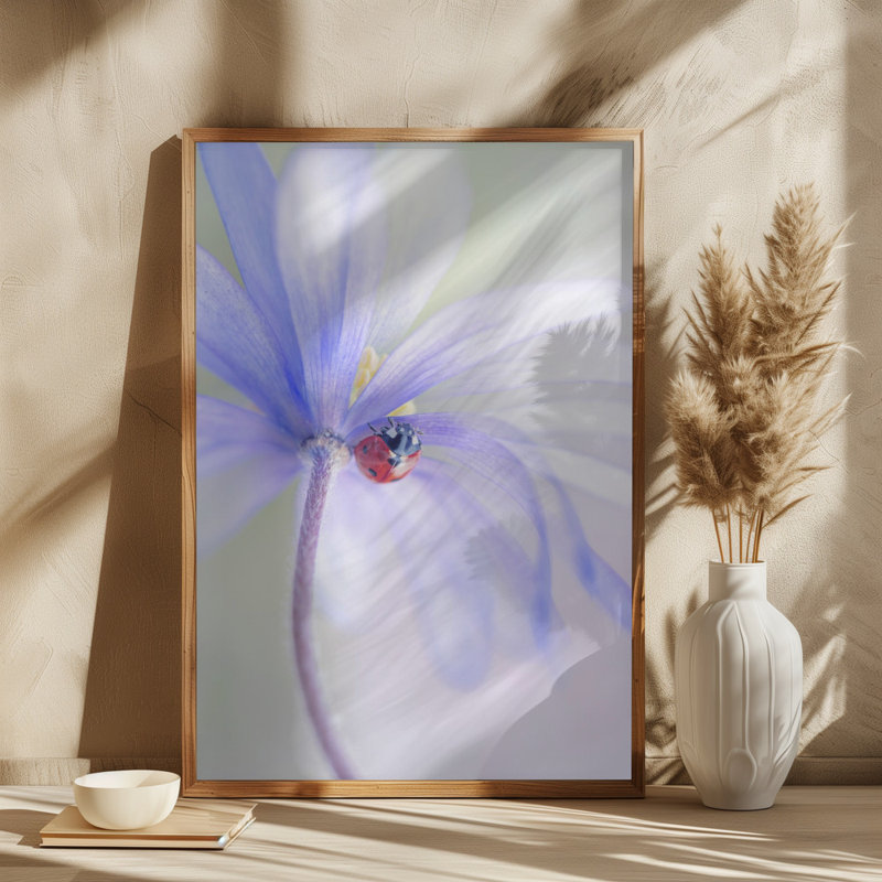 Wrapped Canvas Print, 60.96 cm H x 91.44 cm W
