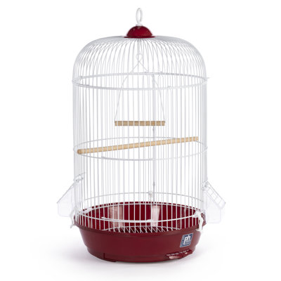 Bird cage with white wire dome top, red plastic base, two wooden perches, and two clear feeding cups.