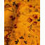 Fine Vibrance One-of-a-Kind 2' 7" X 8' 2" Hand Knotted Area Rug