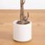 Olive artificielle minimaliste avec pot de fleurs décoratif blanc-1303218426