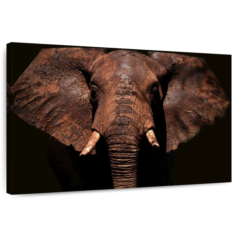 Brampt Aged Elephant, 20" H x 30" W