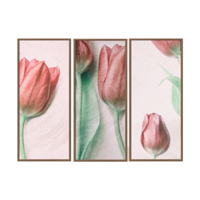 Nature Inspired Red Elegance by  - 3 Piece Picture Frame Photograph Set on Paper