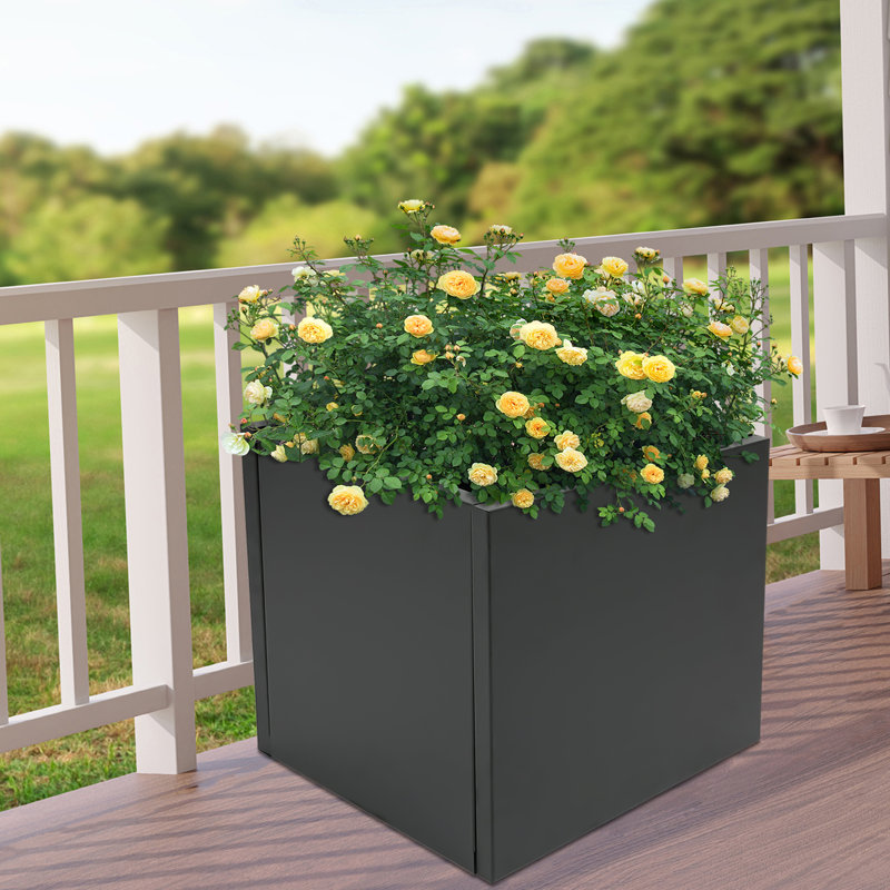 Raemond Metal Planter Box, 32" H x 32" W x 32" D
