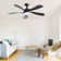 Whisper 52" 5 ABS Blade Propeller Classic Ceiling Fan with LED Lights and Remote Control
