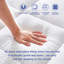 Protège-matelas 2 po Bryes Alwyn Home-214075097-214075096