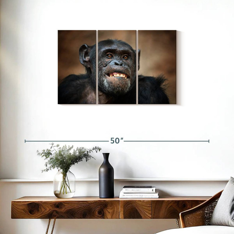 Drôle de chimpanzé, H 20 po x l 33 po