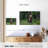 Brampt Grizzly Bear Group-108815746