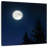 Oberle White Full Moon-109398543
