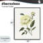 Pivoine de jardin crème avec bourgeons, estampe numérique, design par Nan-1932211921-1932211926