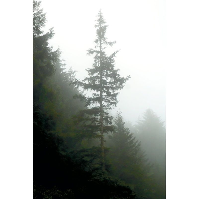 Majestic Pines I by Debra Van Swearingen - Wrapped Canvas Art Prints, 46cm H x 30cm W x 3.8cm D