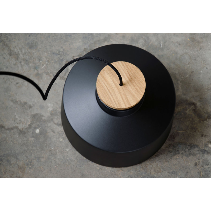 1 - Light Dome Pendant, Flat Black/Nature