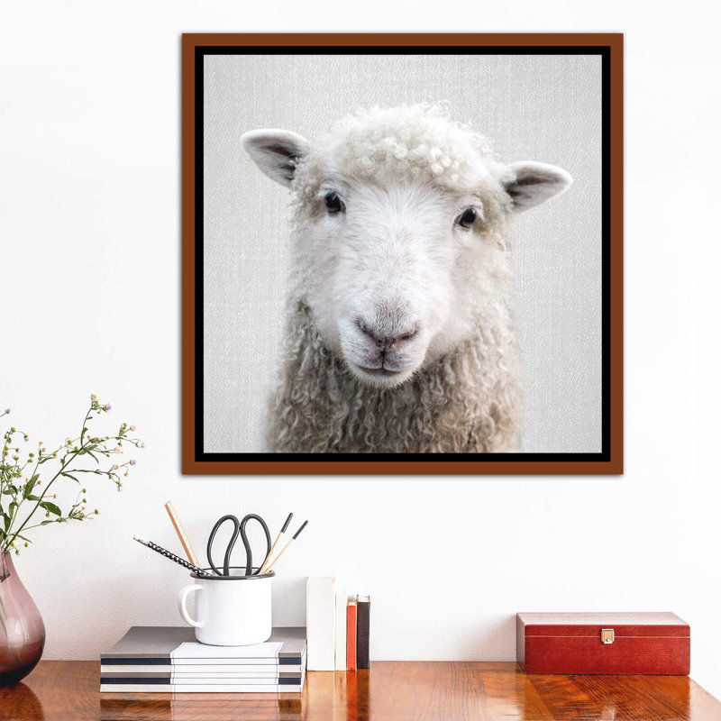 «Sheep» - reproduction de photo, Cadre bois classique, H 37 po x l 37 po x P 1,5 po