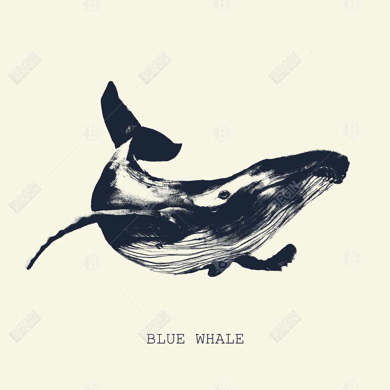 Blue whale sketch - 20"x20" Throw pillow cover - Poly twill - Print on demand