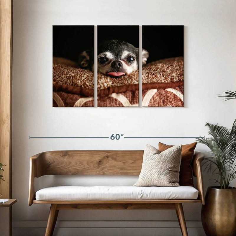 Chihuahua Brampt ludique, H 28 po x l 45 po