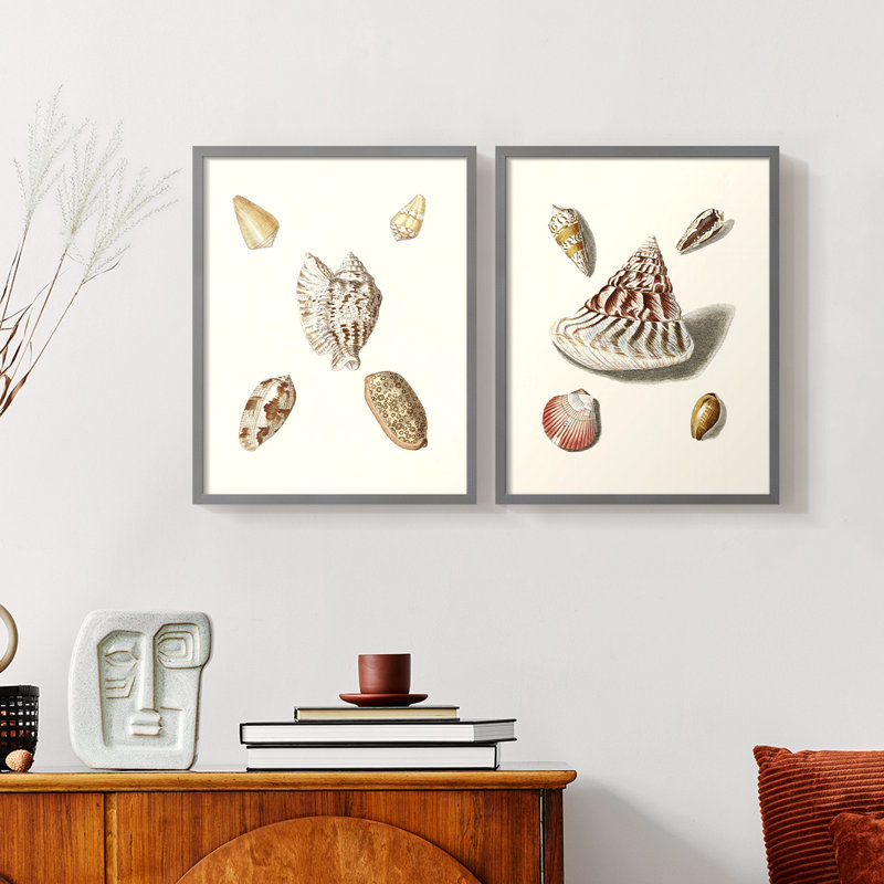 Pastel Knorr Shells VI - reproduction encadrée de qualité supérieure - prête à être accrochée - aucun clou requis - aucun clou requis