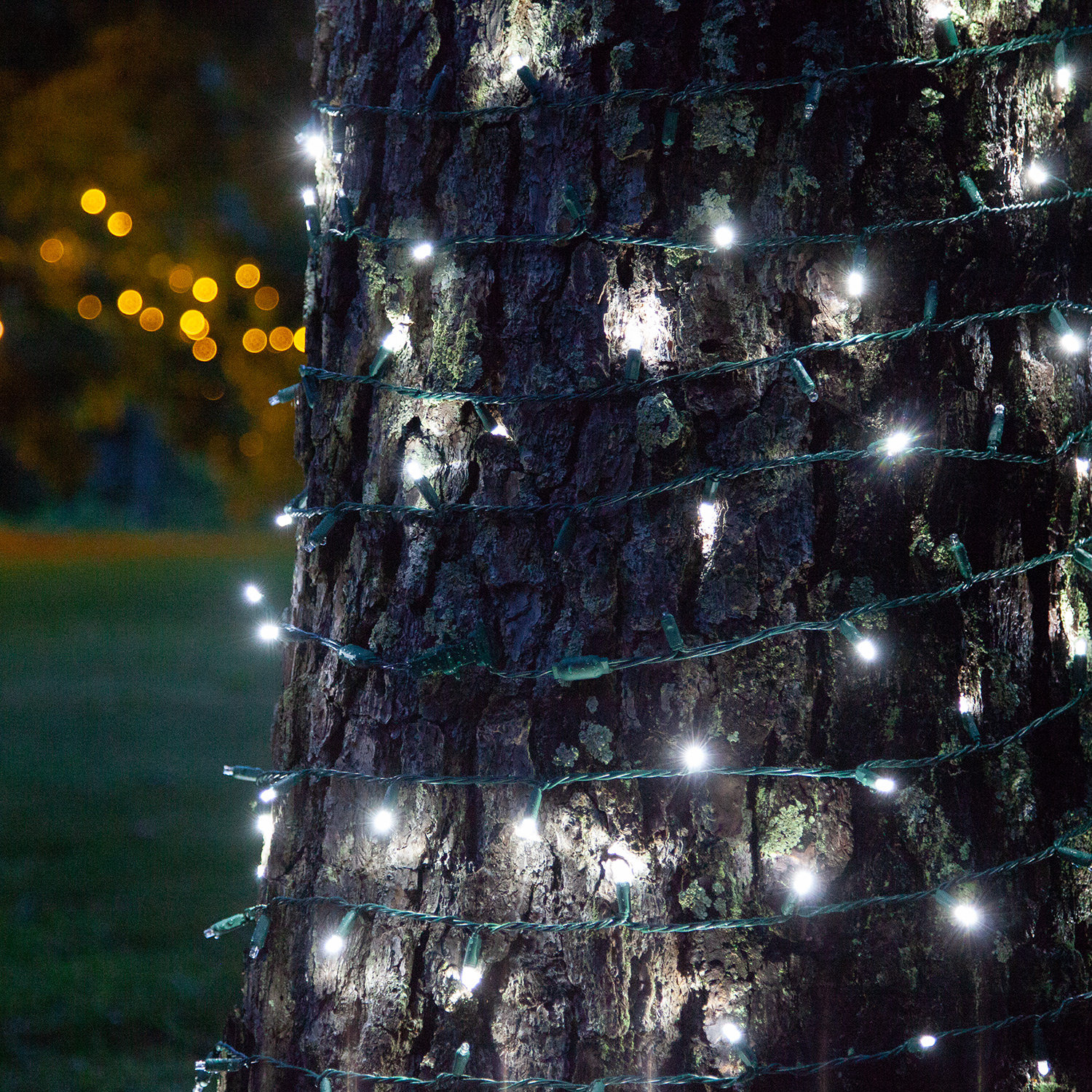 17' LED Twinkle String Lights, Cool White