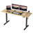 Oishee Electric Adjustable Standing Desk-1698230358-1704339706