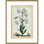 Botanical Giclee Print by Auguster Reger