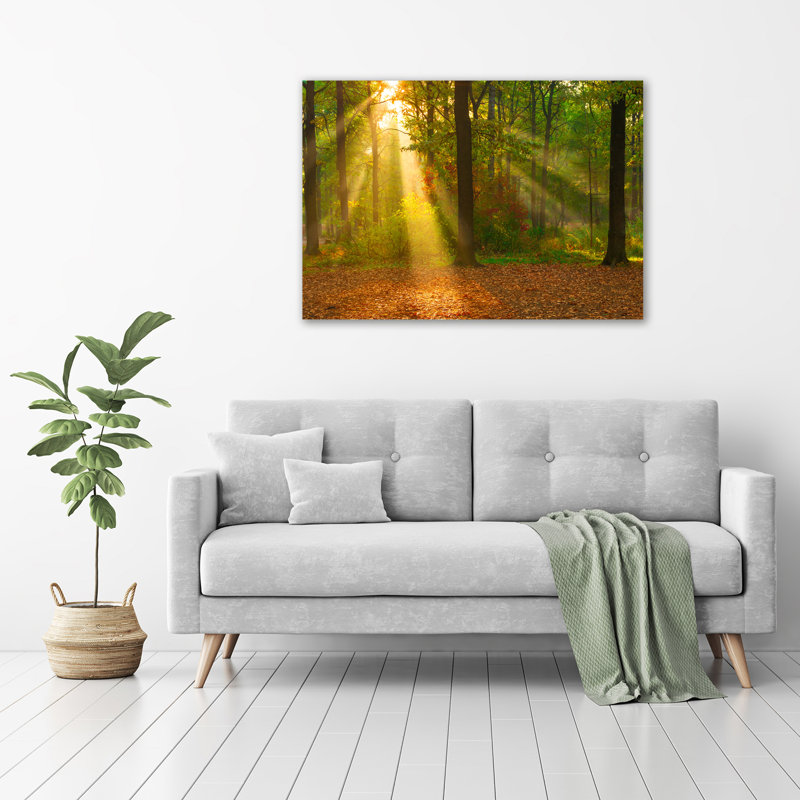 Forest In The Sun - Wrapped Canvas Print