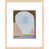 Brown Framed