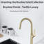 Avamalis A|M Aquae American Single Handel Pull-Out Kitchen Faucet Brass Deck Mount