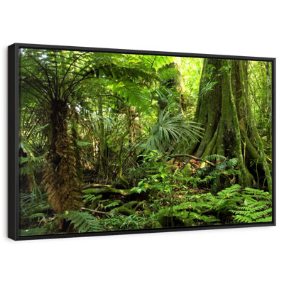 Jungle Ferns Forest