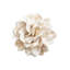 Dahlia Napkin Ring