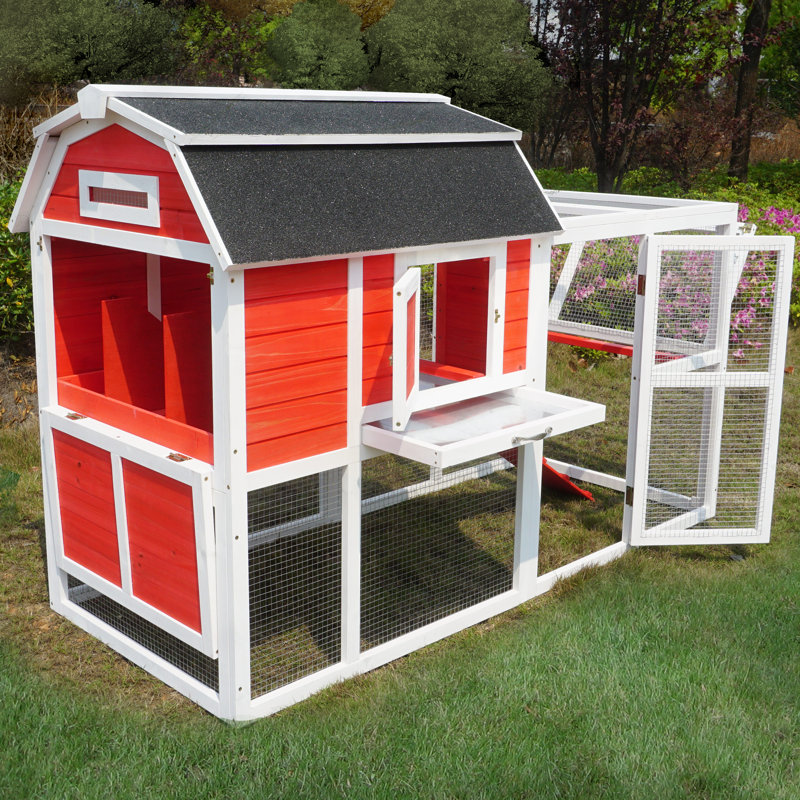 Stough 18.60 Square Feet Chicken Coop with Chicken Run For Up To 6 Chickens