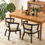 Chaise de salle à manger avec accoudoirs, ensemble de 2 (table non incluse)-8372677
