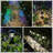 Low Voltage Solar Powered Integrated LED Pathway Light Pack