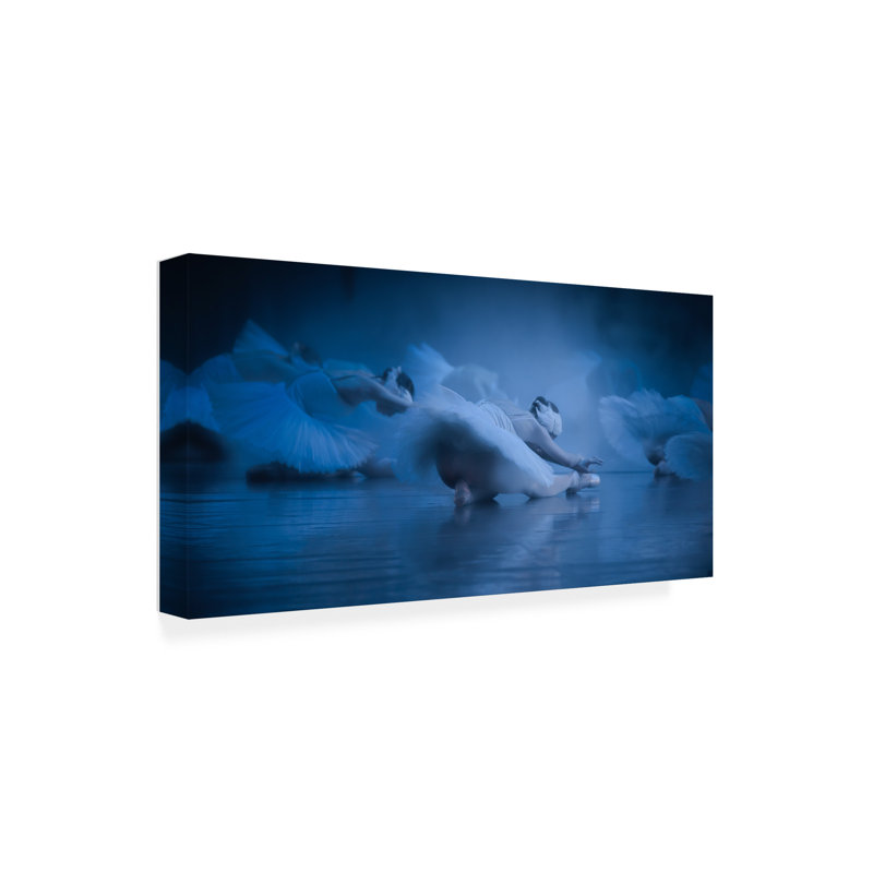 Art sur toile Peet Van Den Dont Shoot, H 10 po x l 19 po