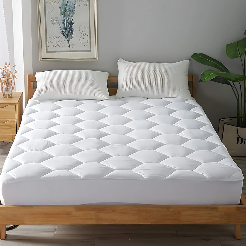 Fitted Mattress Protector Case Pack, Single (3')