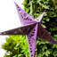 Lanterne en papier-110273508