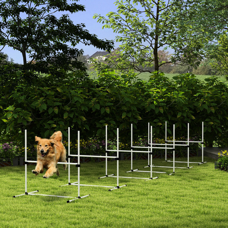Entraînement d'agilité pour chien: 6 sauts avec hauteur réglable, sac de transport inclus, pour le plaisir, blanc, profondeur de produit de 39 po, barres de saut à la hauteur du kit de démarrage, chiens de transport, largeur de 25,5 po