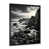 Black Picture Framed